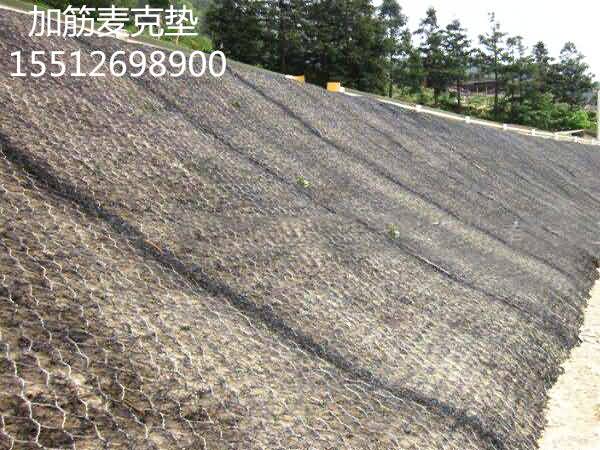 timg7855456_副本.jpg timg7855456_副本.jpg