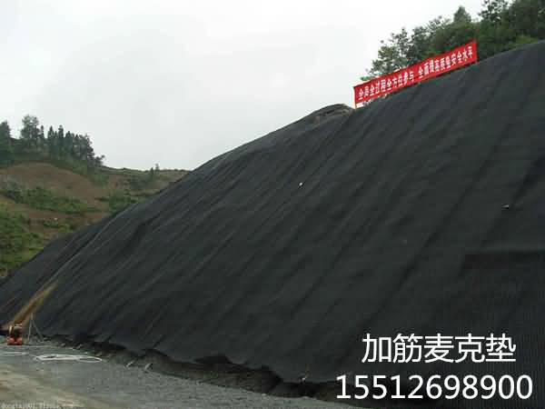 timg49456_副本.jpg timg49456_副本.jpg