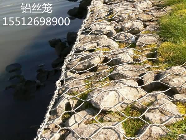 timg5253_副本.jpg timg5253_副本.jpg