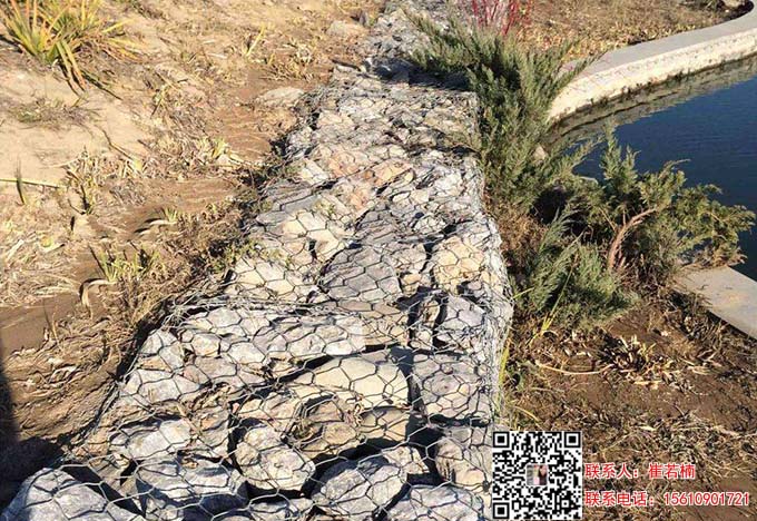 zsshilong529.jpg zsshilong529.jpg